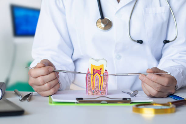Best Emergency Broken Tooth Repair in Brighton, TN